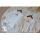 Miss Point Little Anna Blouse(Reservation/Full Payment Without Shipping)